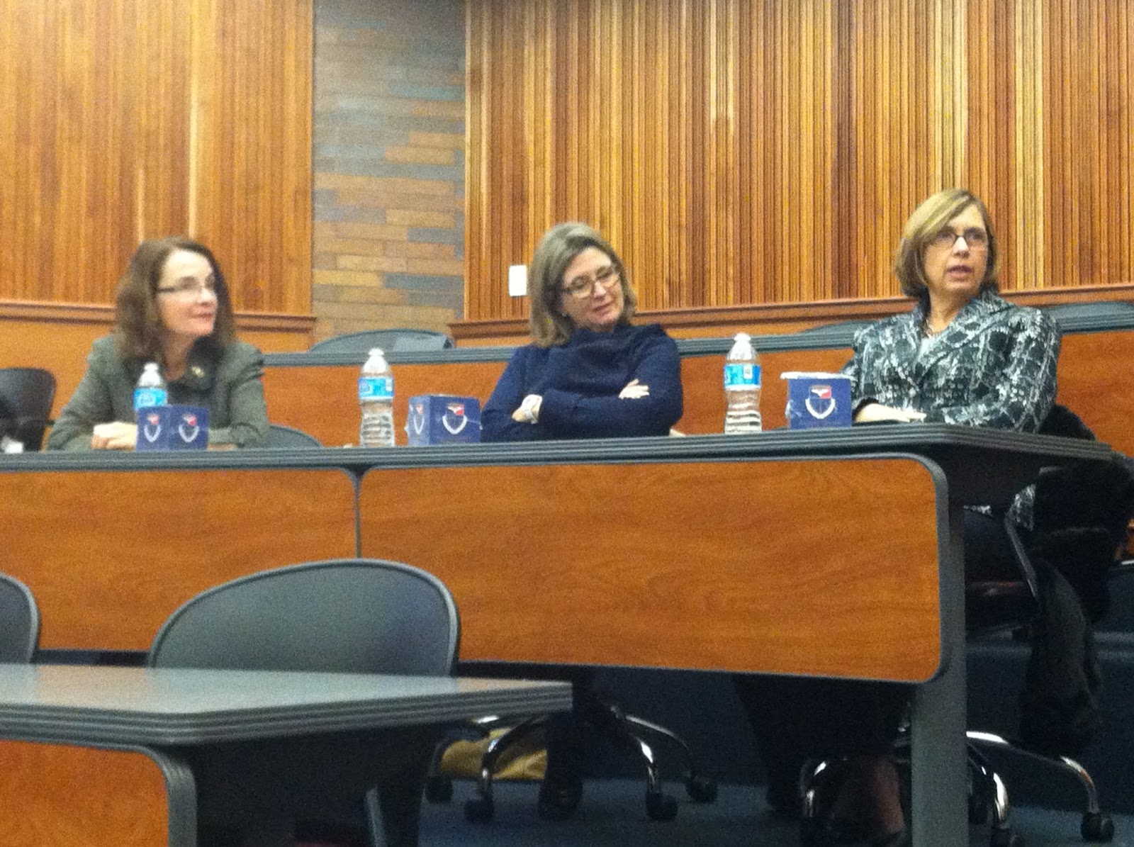 Women in the Profession Panel With Many Changes, Networking Remains Central photo