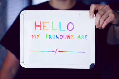 The joy of plural pronouns in legal drafting, Opinion