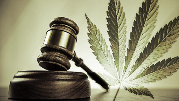 Care for a Smoke? The Legalization of Marijuana and its Many Arguments & Counter-Arguments