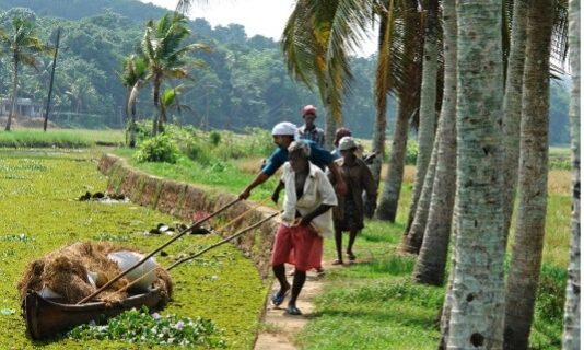 Protests Continue in India Following Proposed Farming Regulations