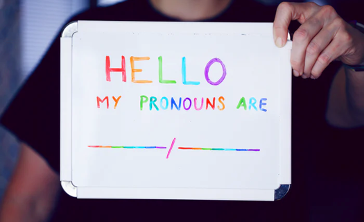 Understanding Pronoun Usage in the Legal Field and Beyond