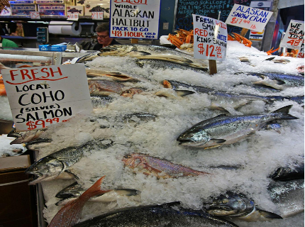 Swimming in Deceit: Navigating the Troubled Waters of Fish Fraud in the Seafood Industry